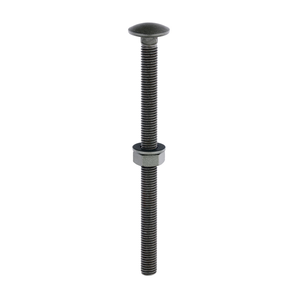TIMCO Carriage Bolts DIN603 Hex Nuts & Form A Washers Green Exterior