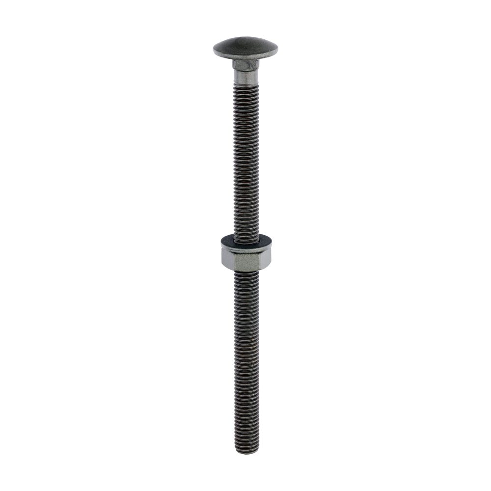 TIMCO Carriage Bolts DIN603 Hex Nuts & Form A Washers Green Exterior