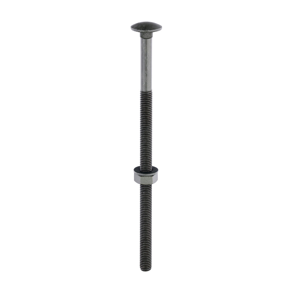 TIMCO Carriage Bolts DIN603 Hex Nuts & Form A Washers Green Exterior