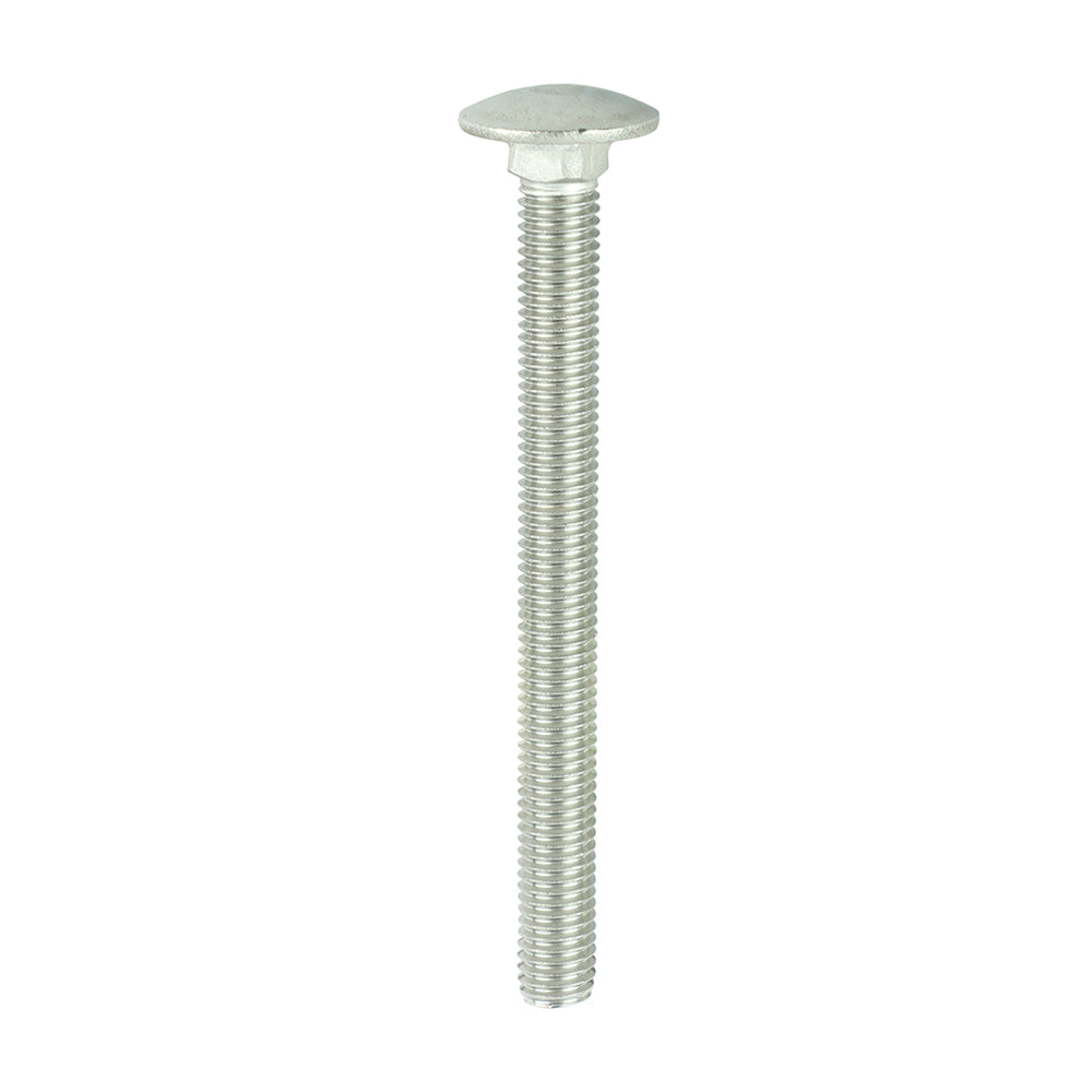 TIMCO Carriage Bolts - Stainless Steel