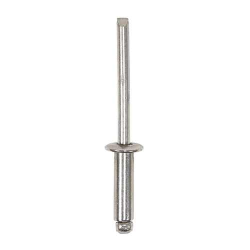 TIMCO Rivets - Dome Head - Stainless Steel
