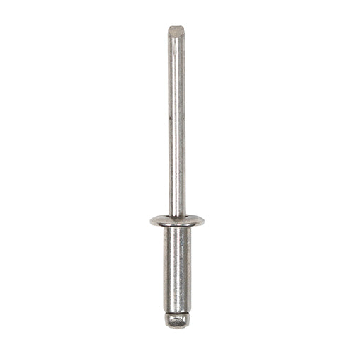 TIMCO Rivets - Dome Head - Stainless Steel