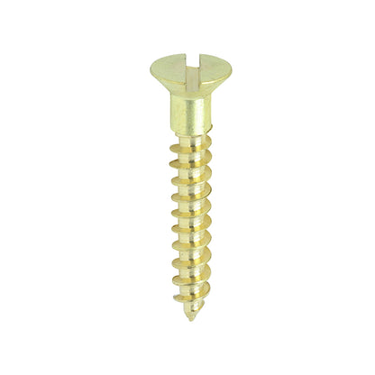 TIMCO Brass Woodscrew - Slotted