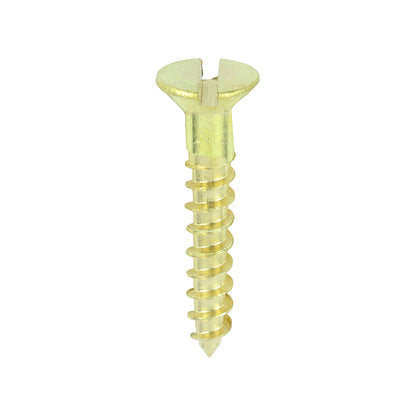 TIMCO Brass Woodscrew - Slotted