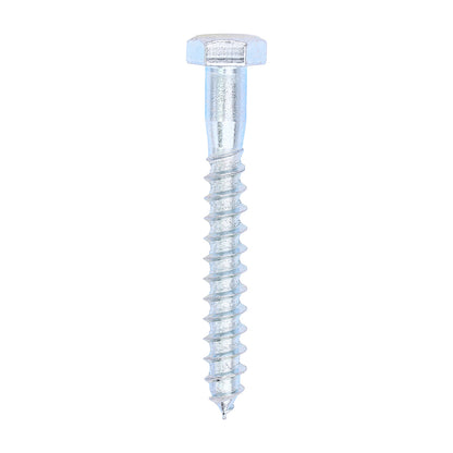 TIMCO Coach Screws Hex Head Silver