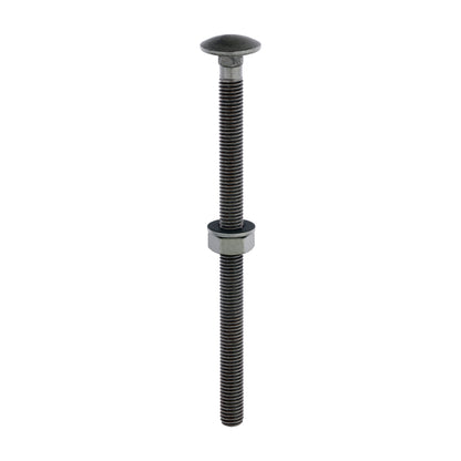 TIMCO Carriage Bolts DIN603 Hex Nuts & Form A Washers Green Exterior