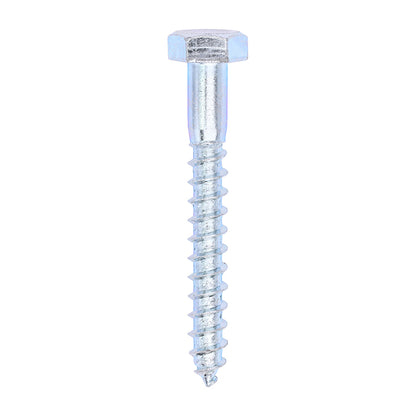 TIMCO Coach Screws Hex Head Silver