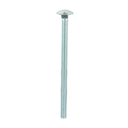 TIMCO Carriage Bolts & Hex Full Nut - Zinc