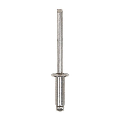 TIMCO Rivets - Dome Head - Stainless Steel